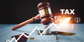 INDIRECT TAX LAWS